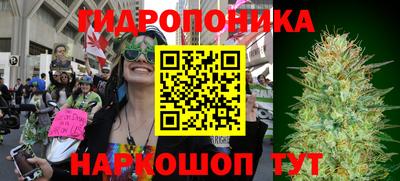 спиды Свободный