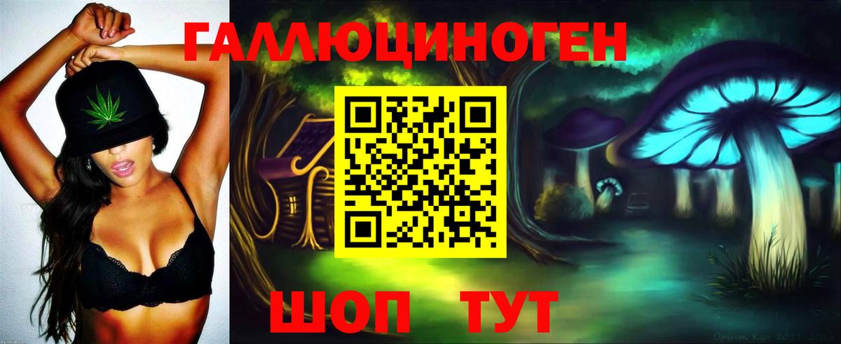 Галлюциногенные грибы Psilocybe  магазин продажи наркотиков  Ангарск  Вход с VPN 