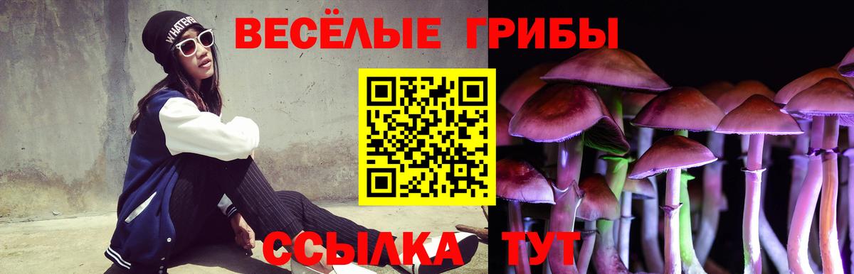 Галлюциногенные грибы Cubensis Ангарск